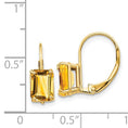Load image into Gallery viewer, Citrine - Emerald Cut Drop Leverback set in 14k Gold Earrings