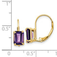 Load image into Gallery viewer, Amethyst - Emerald Cut Drop Leverback set in 14k Gold Earrings
